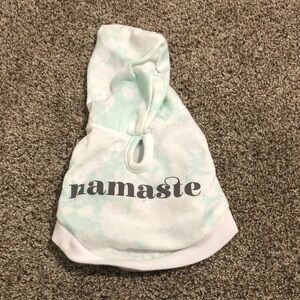 Mint Dog Hoodie